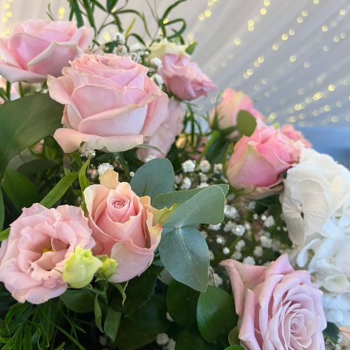 Mr & Mrs Mackle Melissa & Fin Aug 2025